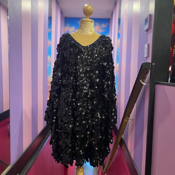 Hire-Black Pop Sequin V Neck Dress