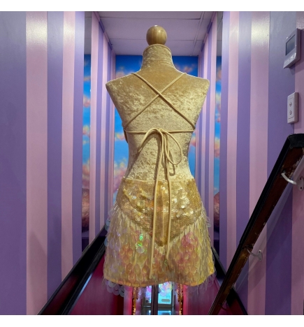 Hire-Champagne Sequin Low Back Dress