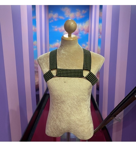 Neon Dot Elastic Harness with Rings