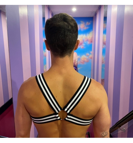 Striped Elastic Harness with Rings