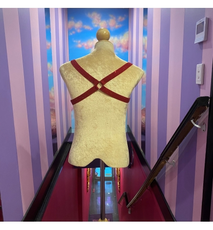 Red Rhinestone Thin Band Harness with Rings