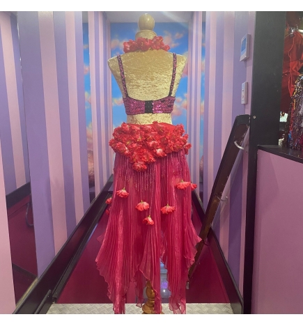 Hire-Flower Hula Set