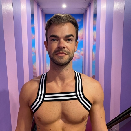 Stripe Elastic Harness