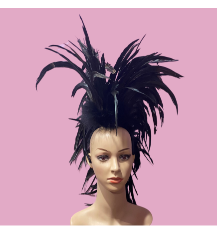 Black Feathered Mohawk