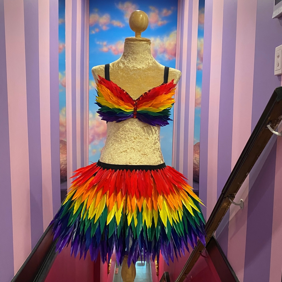 Rainbow Pride Deluxe Feather Skirt and Bra (sold separately)