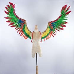 Multi Colour Feathered Wings