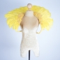 Yellow Duck Feather Collar with Sequin Motifs