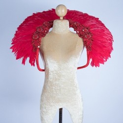 Red Duck Feather Collar with Sequin Motif