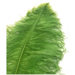Ostrich Feather Plume 55-60cm Lime Green