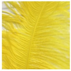 Ostrich Feather Plume 55-60cm Yellow