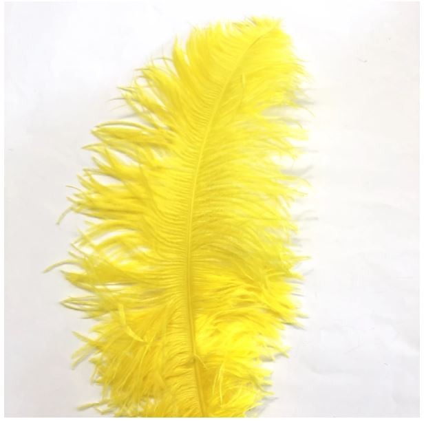 Ostrich Feather Plume 55-60cm Yellow