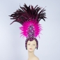 Majestic Feathered Headpiece with Aurora Borealis Stones