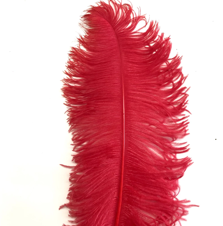 Ostrich Feather Plume 55-60cm Red