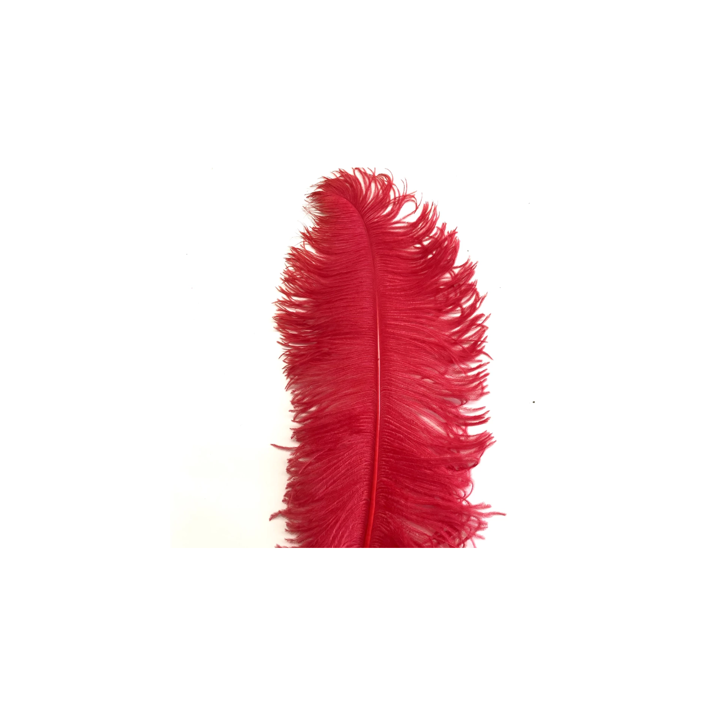Ostrich Feather Plume 55-60cm Red