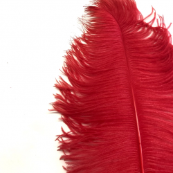 Ostrich Feather Plume 60cm Red