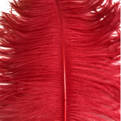 Ostrich Feather Plume 60cm Red