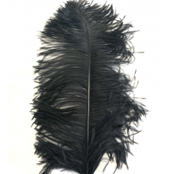 Black Ostrich Feather Plume 50-55 cm
