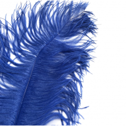Ostrich Feather Plume 55-60cm Royal Blue