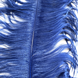 Ostrich Feather Plume 55-60cm Royal Blue
