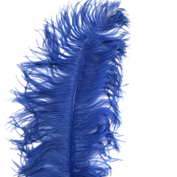 Royal Blue Ostrich Feather Plume 50-55 cm
