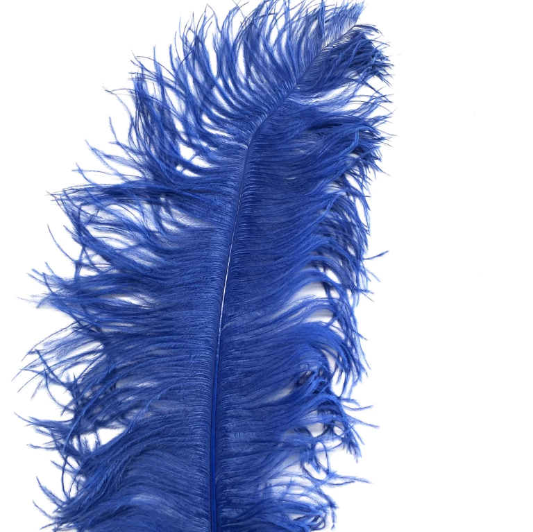 Ostrich Feather Plume 55-60cm Royal Blue