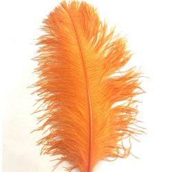 Orange Ostrich Feather Plume 50-55 cm