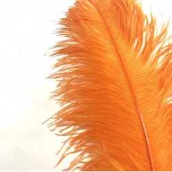 Ostrich Feather Plume 55-60cm Orange