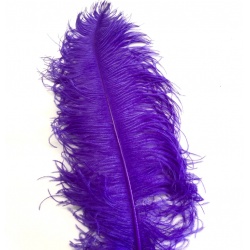 Ostrich Feather Plume 55-60cm Dark Purple