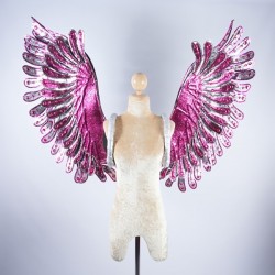 Silver Glitter Wings with Hot Pink Trim