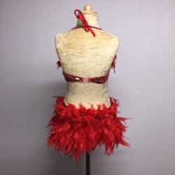 Red Simone Sequin Feather Flower Leotard and Skirt Set