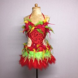 Red-Yellow-Green Simone Sequin Feather Flower Leotard and Skirt Set