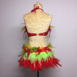 Red-Yellow-Green Simone Sequin Feather Flower Leotard and Skirt Set