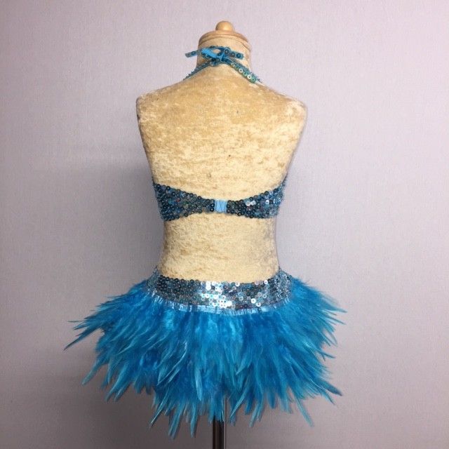 USA Crop Top and Feather Skirt Set Aqua