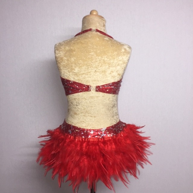 USA Foil Crop Top and Feather Skirt Red