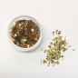 Gold Member Mixed Glitter Pot Gold Member Mixed Glitter Pot