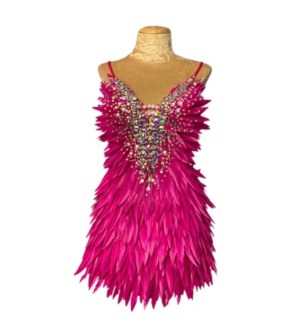 Hot Pink Deluxe Diamanté Feather Dress