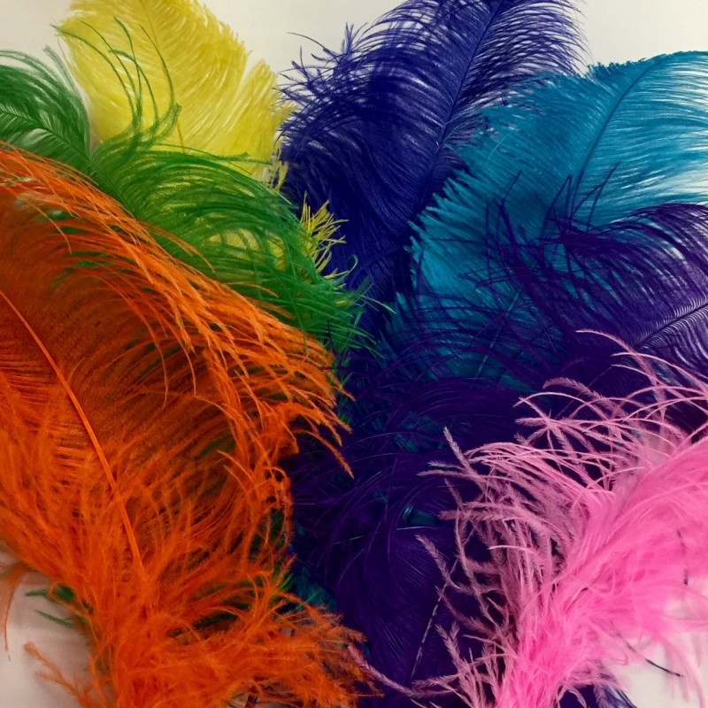 ostrich feathers fan