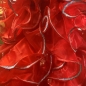 Red Crystal Organza Boa 250cm with Silver Sequin Trim