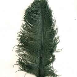 Dark Green Ostrich Feather Plume 50-55 cm