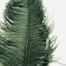 Ostrich Feather Plume 55-60cm Dark Green
