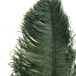 Ostrich Feather Plume 55-60cm Dark Green